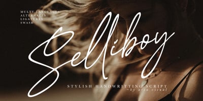 Selliboy Script