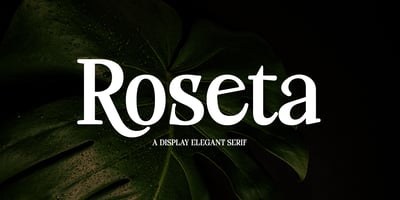Roseta Display