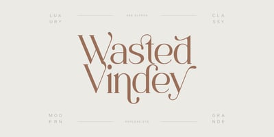 Wasted Vindey