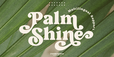 Palm Shine