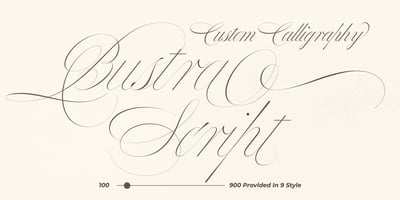 Bustra Script Pro