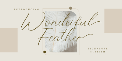 Wonderful Feather