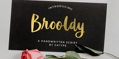 Brooldy