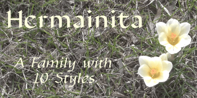 Hermainita