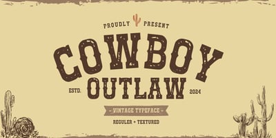Cowboy Outlaw