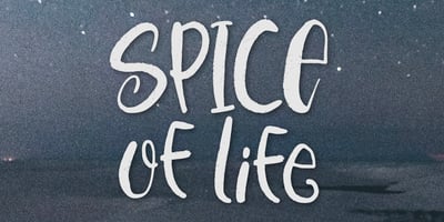 Spice Of Life