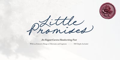 Little Promises