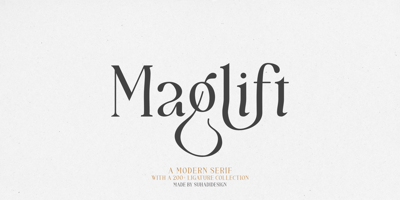 Maglift