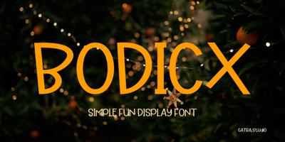 Bodicx