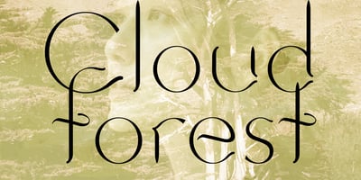 Cloudforest