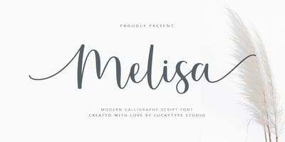 Melisa Script