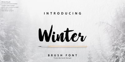 Winter Brush