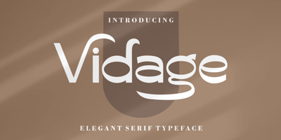 Vidage
