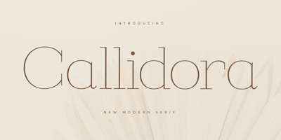 Callidora