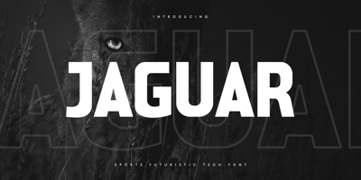 Jaguar Style