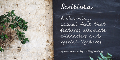 Scribiola