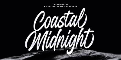 Coastal Midnight