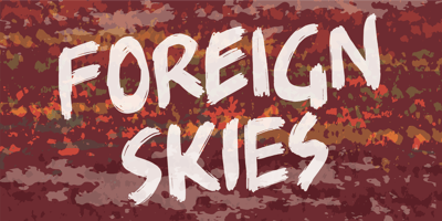 Foreign Skies