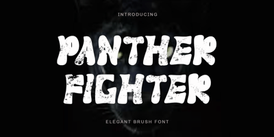 Panther Fighter