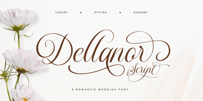 Dellanor Script