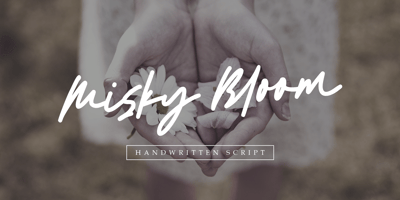 Misky Bloom