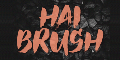 Hai Brush