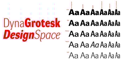 DynaGrotesk