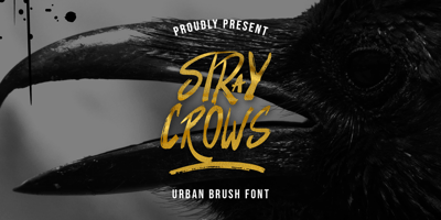 Stray Crows