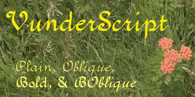 Vunder Script