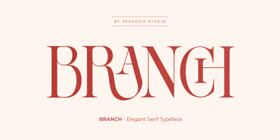 Zn Branch