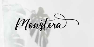 Monstera