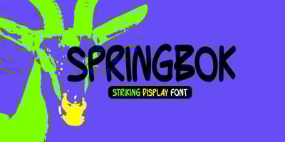 Springbok