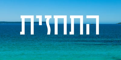Tamrurim MF