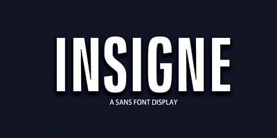 Insigne Display
