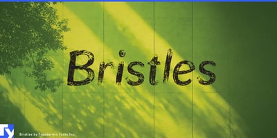 Bristles