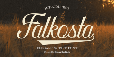 Falkosta