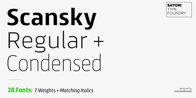 Scansky