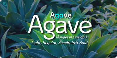 Agave