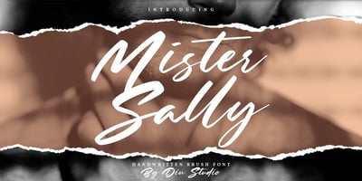 Mister Sally