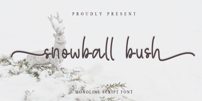 Snowball Bush