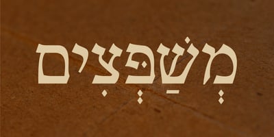Nilus MF