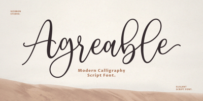 Agreable Modern Script Font