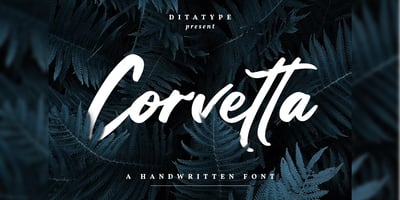Corvetta