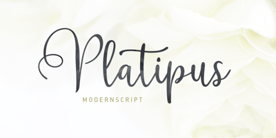 Platipus Script