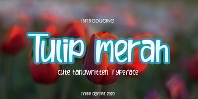 Tulip merah