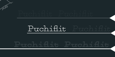 Puchiflit