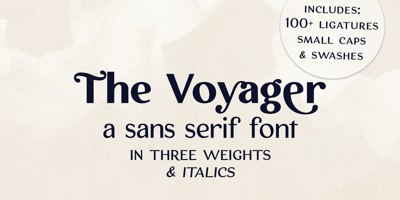 The Voyager