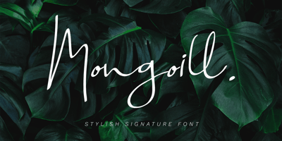 Mongoill Signature