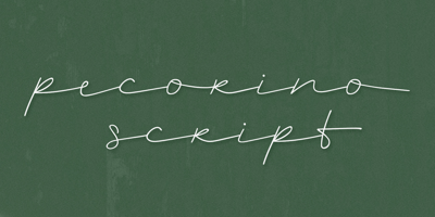 Pecorino Script