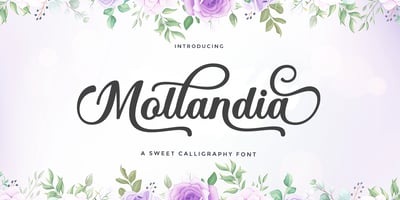 Mollandia